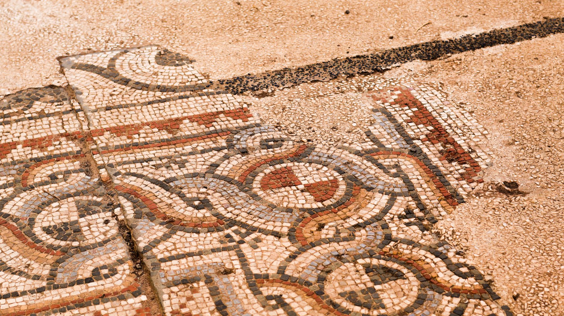 Roman-era mosaic discovery: Stunning cat and dog revealed